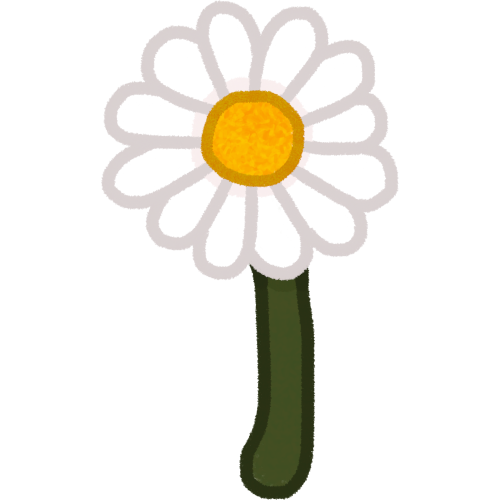  a white flower that has many petals in a circular shape with a yellow center and a green stem